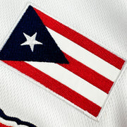 Puerto Rico Custom Baseball Jersey